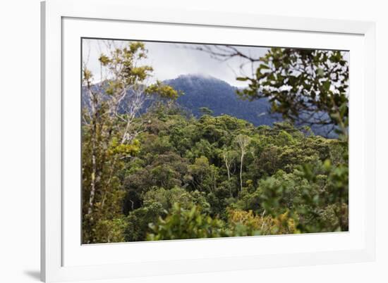 Ranomafana National Park, central area, Madagascar, Africa-Christian Kober-Framed Photographic Print