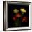 Ranunculus 1-Magda Indigo-Framed Photographic Print