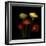 Ranunculus 1-Magda Indigo-Framed Photographic Print