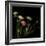 Ranunculus 4-Magda Indigo-Framed Photographic Print