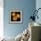 Ranunculus 8-Magda Indigo-Framed Photographic Print displayed on a wall