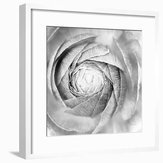 Ranunculus Abstract I BW Light-Laura Marshall-Framed Photographic Print