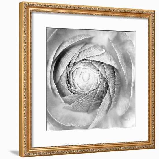 Ranunculus Abstract I BW Light-Laura Marshall-Framed Photographic Print