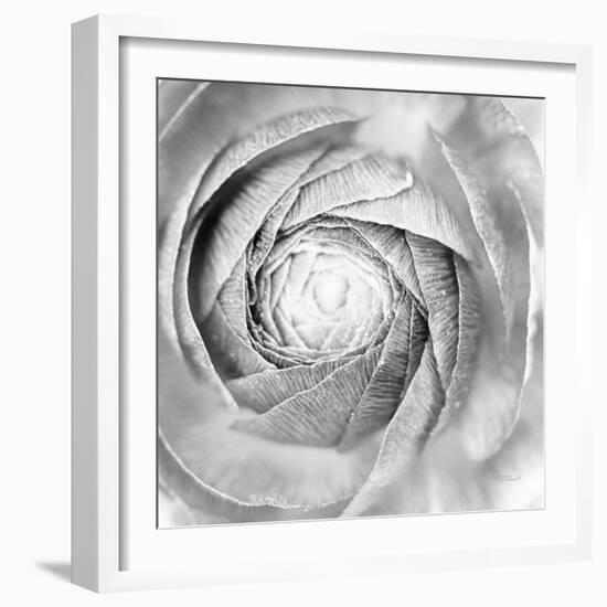 Ranunculus Abstract I BW Light-Laura Marshall-Framed Photographic Print