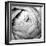 Ranunculus Abstract III BW Light-Laura Marshall-Framed Photographic Print