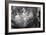 Ranunculus Abstract V BW-Laura Marshall-Framed Photo