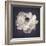 Ranunculus Floral-Assaf Frank-Framed Giclee Print