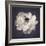 Ranunculus Floral-Assaf Frank-Framed Giclee Print