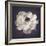 Ranunculus Floral-Assaf Frank-Framed Giclee Print