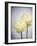 Ranunculus, Flower, Blossoms, White, Still Life-Axel Killian-Framed Photographic Print