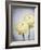 Ranunculus, Flower, Blossoms, White, Still Life-Axel Killian-Framed Photographic Print