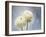 Ranunculus, Flower, Blossoms, White, Still Life-Axel Killian-Framed Photographic Print