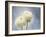 Ranunculus, Flower, Blossoms, White, Still Life-Axel Killian-Framed Photographic Print