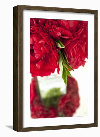 Ranunculus I-Karyn Millet-Framed Photographic Print