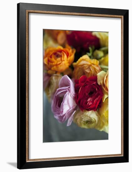 Ranunculus II-Karyn Millet-Framed Photographic Print