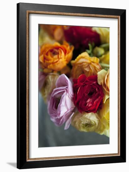 Ranunculus II-Karyn Millet-Framed Photographic Print