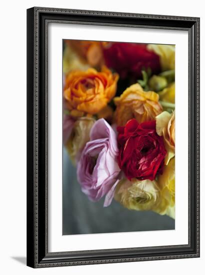 Ranunculus II-Karyn Millet-Framed Photographic Print