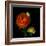 Ranunculus Orange-Magda Indigo-Framed Photographic Print