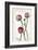 Ranunculus Pink-null-Framed Art Print