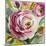 Ranunculus Rosa I-Lanie Loreth-Mounted Art Print