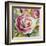 Ranunculus Rosa I-Lanie Loreth-Framed Art Print