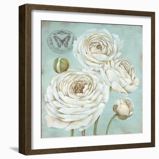 Ranunculus Stamp-Stefania Ferri-Framed Art Print