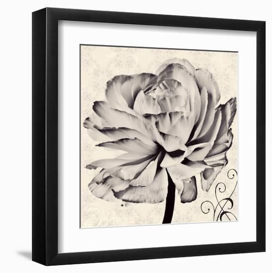 Ranunculus V-Christine Zalewski-Framed Art Print