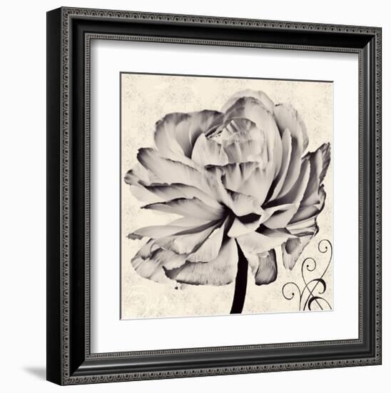 Ranunculus V-Christine Zalewski-Framed Art Print