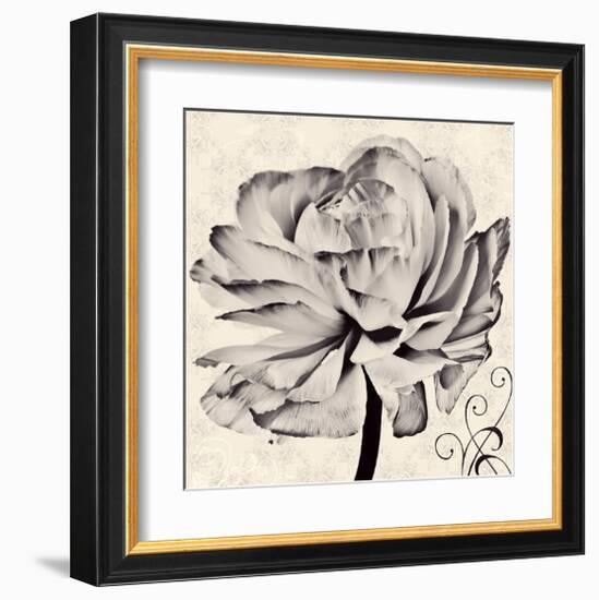 Ranunculus V-Christine Zalewski-Framed Art Print