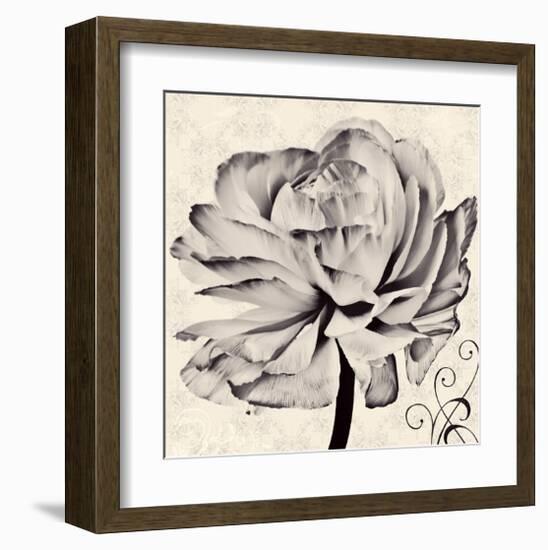 Ranunculus V-Christine Zalewski-Framed Art Print