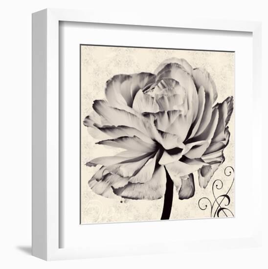 Ranunculus V-Christine Zalewski-Framed Art Print