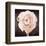 Ranunculus-Christine Zalewski-Framed Premium Giclee Print