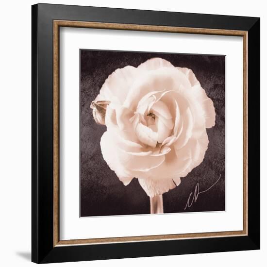 Ranunculus-Christine Zalewski-Framed Art Print