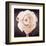 Ranunculus-Christine Zalewski-Framed Art Print