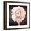 Ranunculus-Christine Zalewski-Framed Art Print