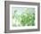 Ranunculus-null-Framed Photographic Print