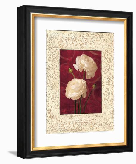 Ranunculus-John Seba-Framed Premium Giclee Print