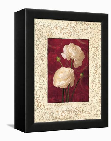Ranunculus-John Seba-Framed Stretched Canvas