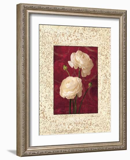 Ranunculus-John Seba-Framed Art Print