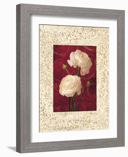 Ranunculus-John Seba-Framed Art Print