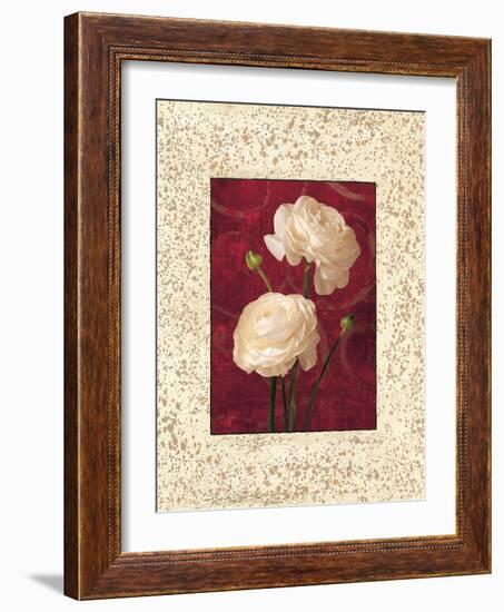 Ranunculus-John Seba-Framed Art Print