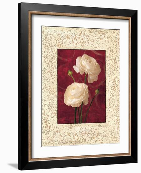 Ranunculus-John Seba-Framed Art Print