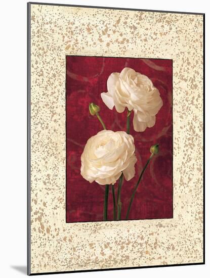 Ranunculus-John Seba-Mounted Art Print