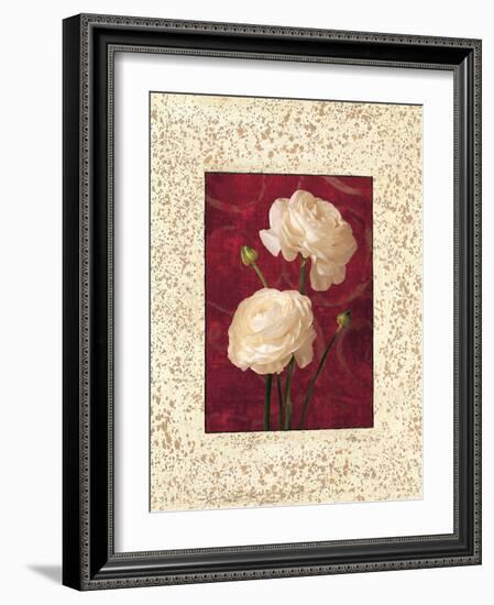 Ranunculus-John Seba-Framed Art Print