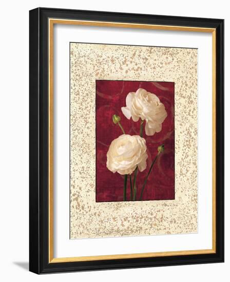 Ranunculus-John Seba-Framed Art Print