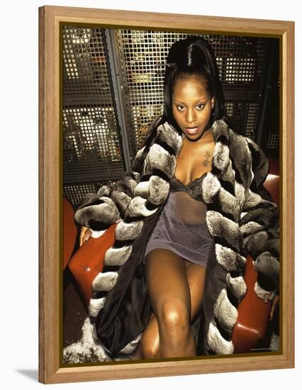Rap Artist Foxy Brown-Dave Allocca-Framed Premier Image Canvas