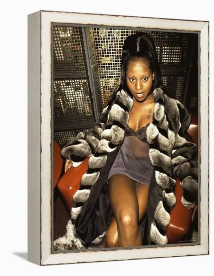 Rap Artist Foxy Brown-Dave Allocca-Framed Premier Image Canvas