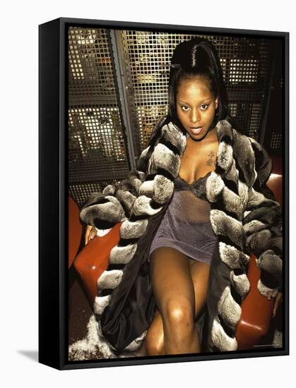 Rap Artist Foxy Brown-Dave Allocca-Framed Premier Image Canvas