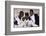 Rap Artists Dj Jazzy Jeff, Flavor Flav and Will Smith at the American Music Awards-null-Framed Photographic Print