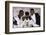 Rap Artists Dj Jazzy Jeff, Flavor Flav and Will Smith at the American Music Awards-null-Framed Photographic Print